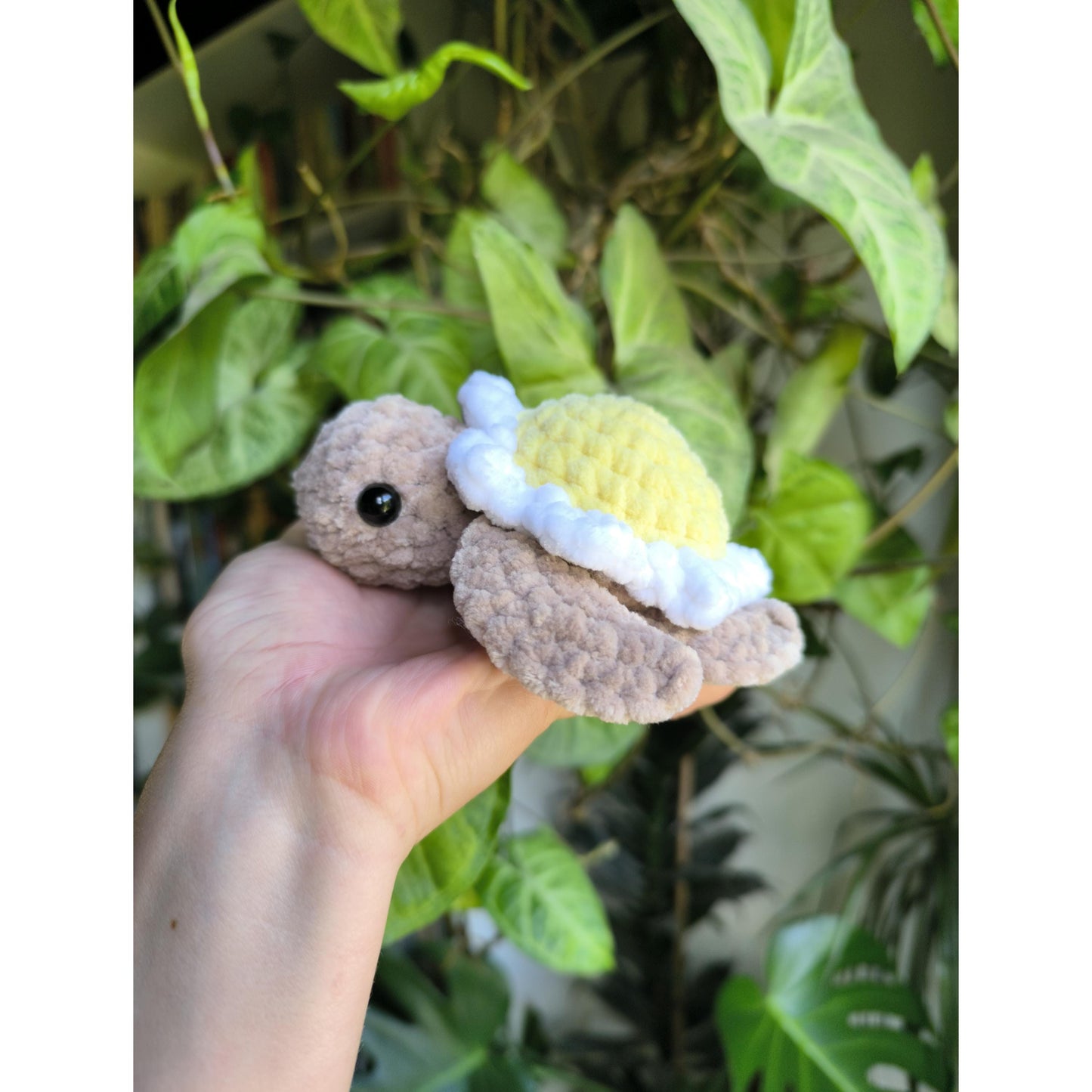 Tortue fleur Tournesol et Marguerite