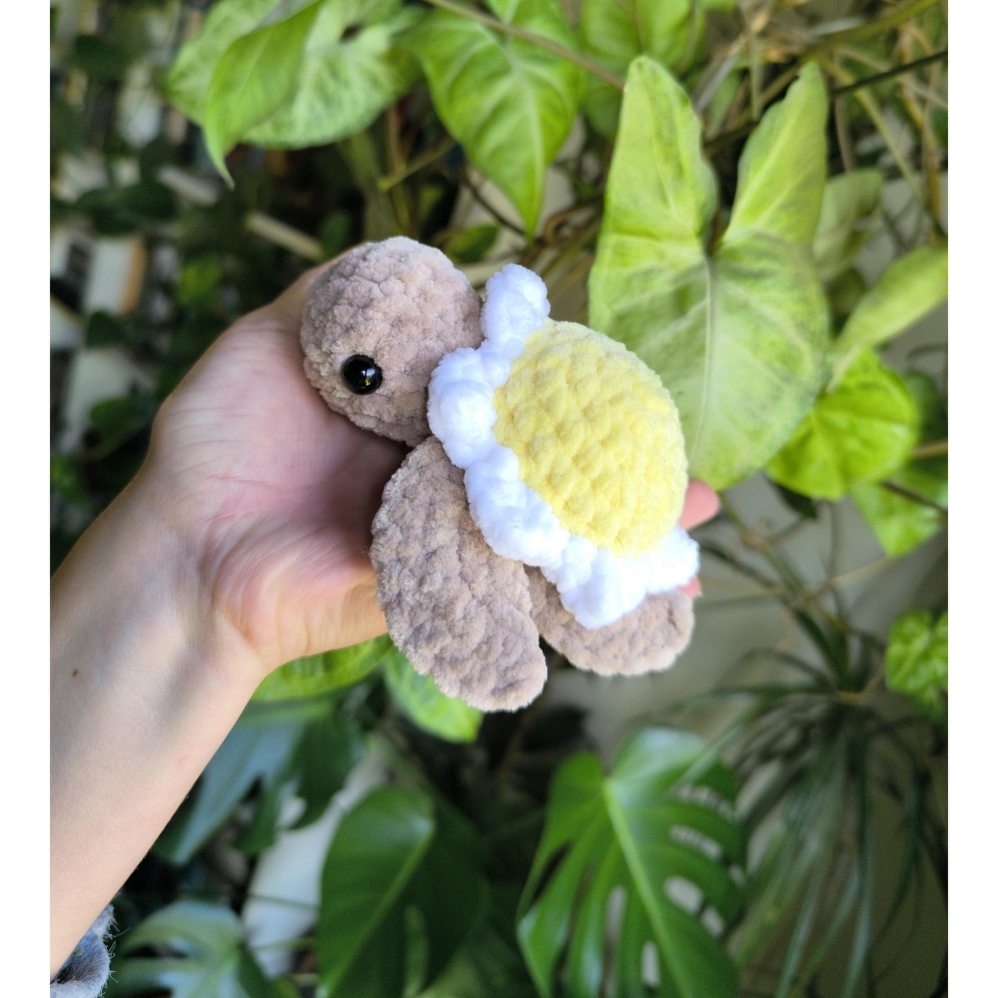 Tortue fleur Tournesol et Marguerite