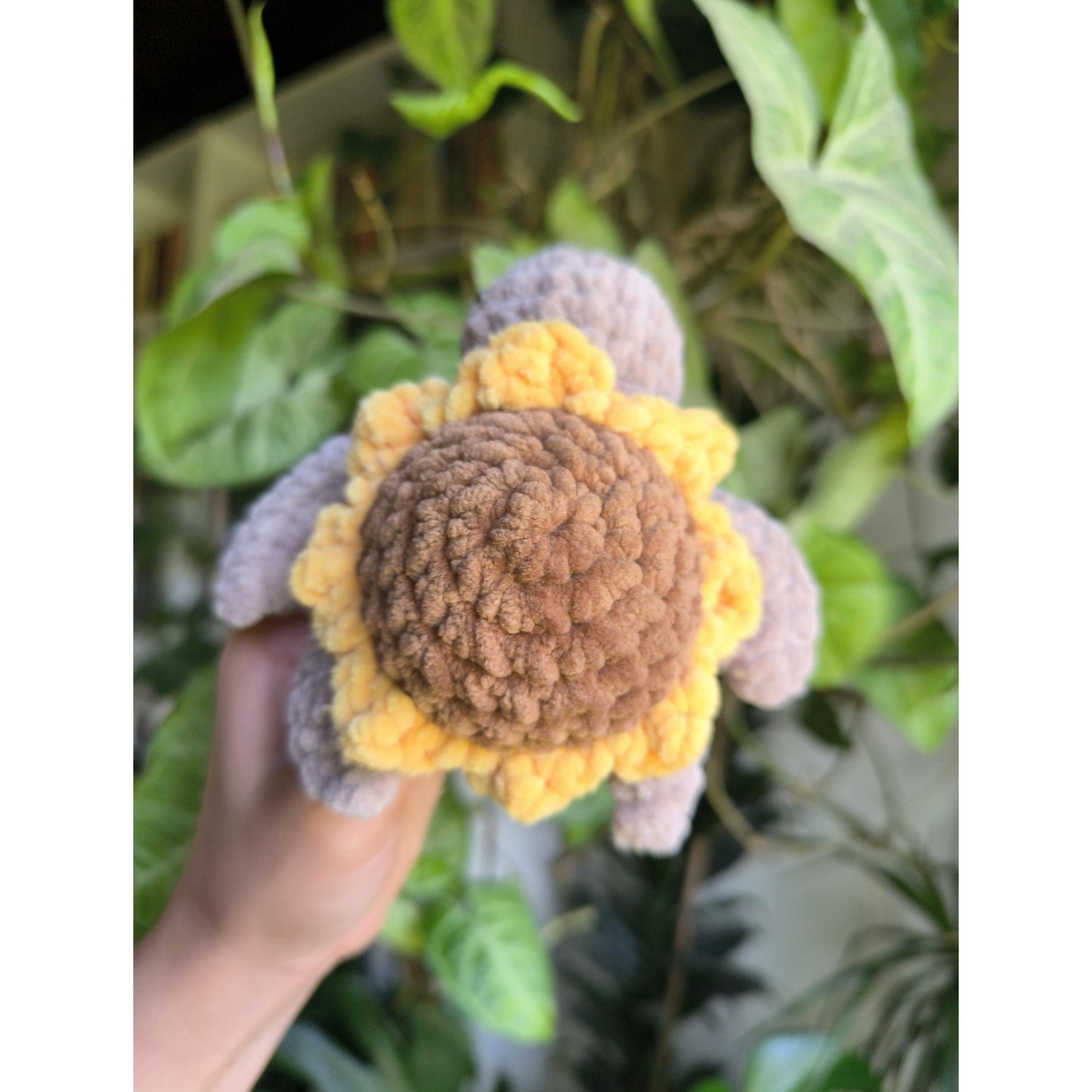 Tortue fleur Tournesol et Marguerite
