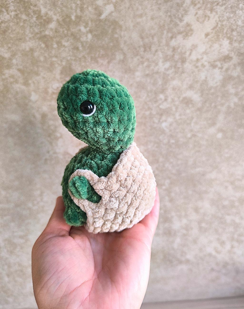 Tortue avec une surprise 🫢