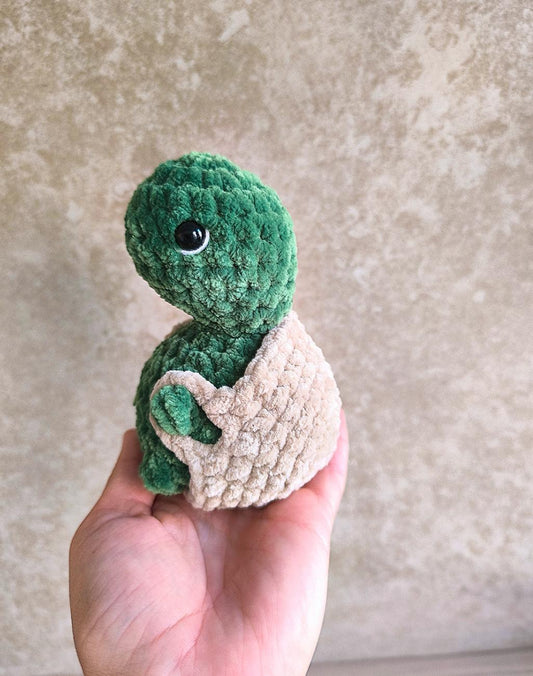 Tortue avec une surprise 🫢