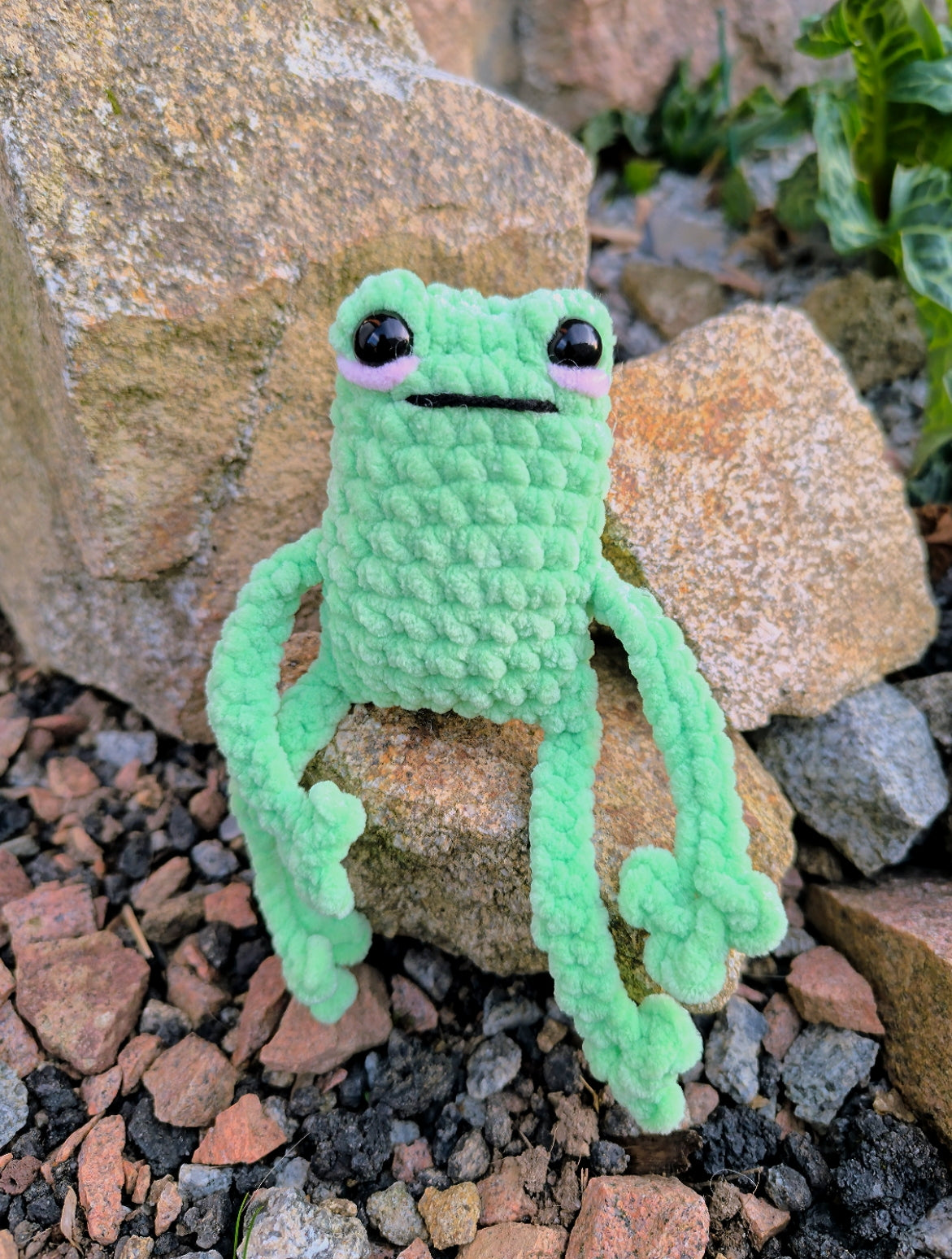 Peluche grenouille