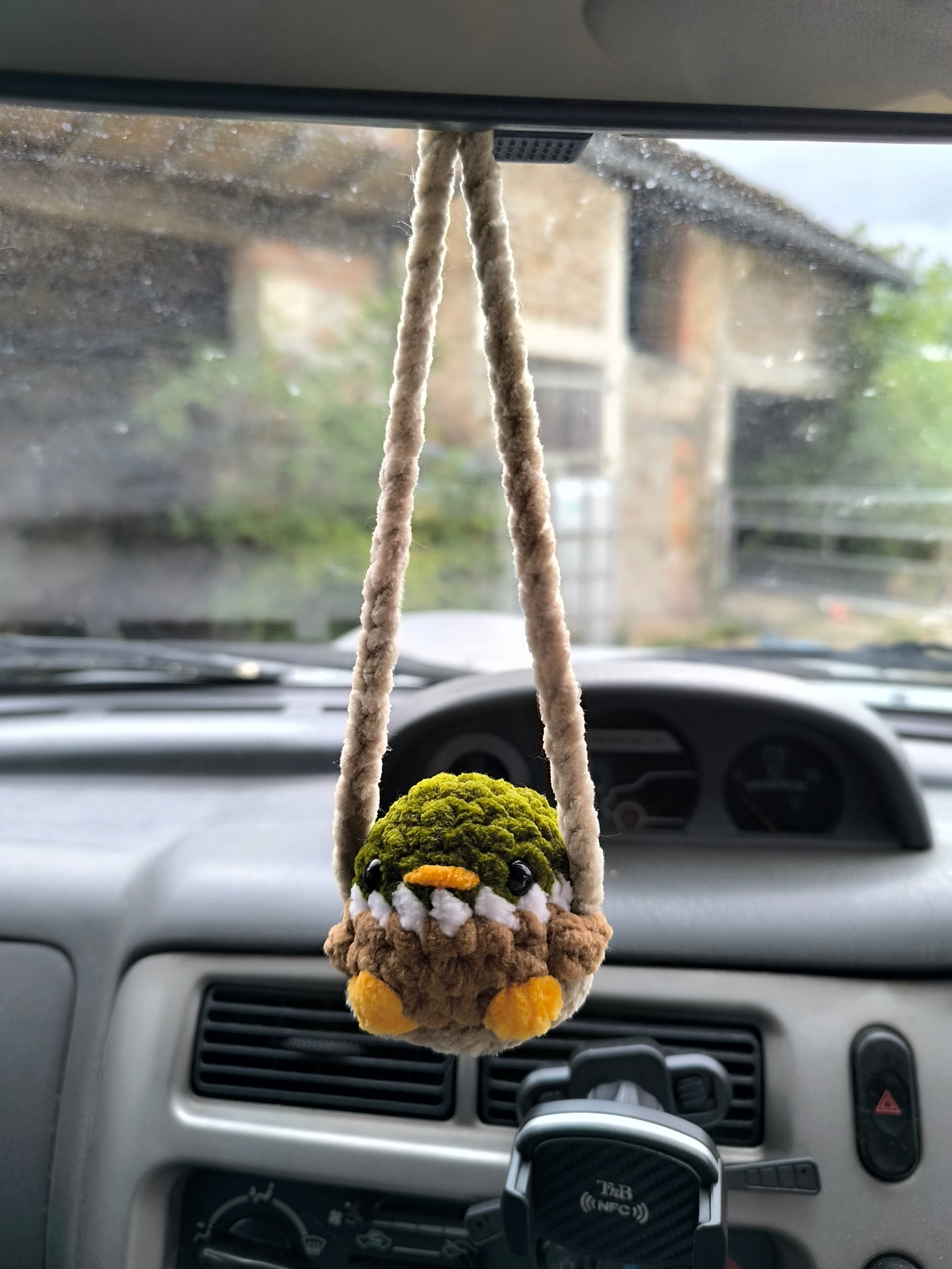Decoration cannard pour retroviseur voiture
